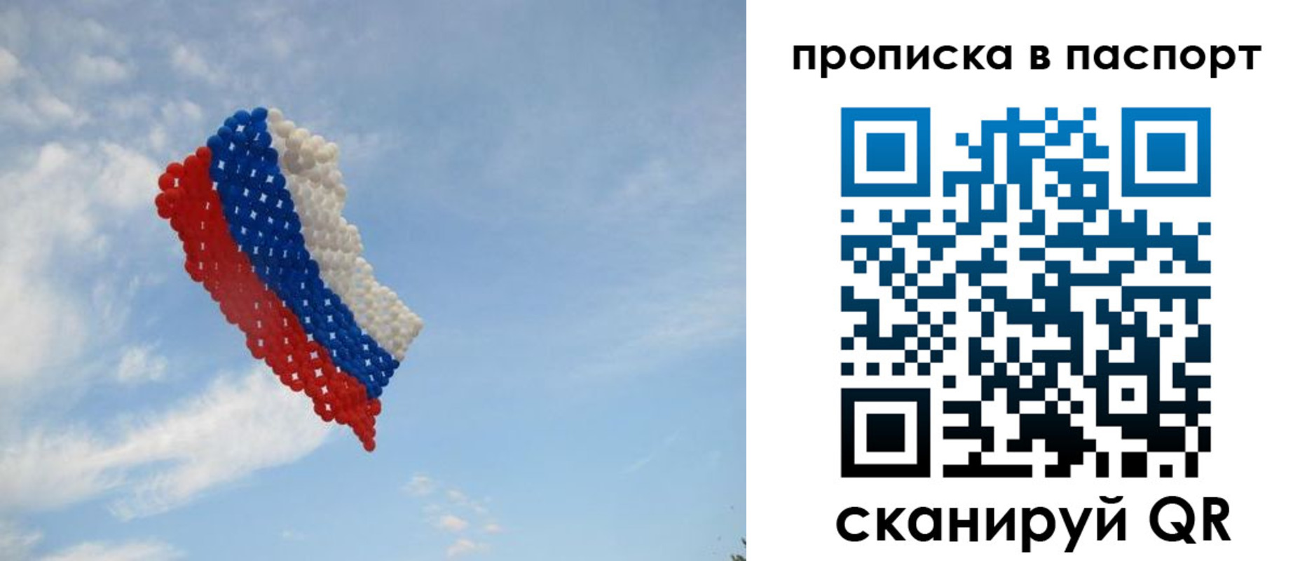 найти адрес прописки в Александровске-Сахалинском